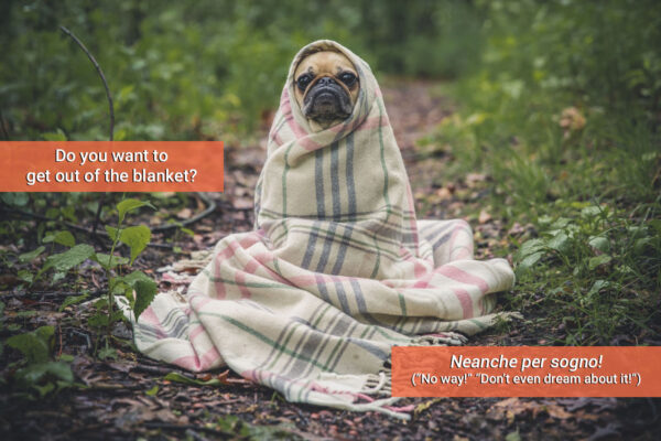 Vai Oltre “Ciao Bella”: 20+ Parole Ed Espressioni Gergali Italiane 2 italian expressions