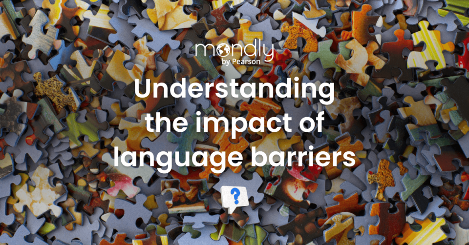 Understanding the Impact of Language Barriers